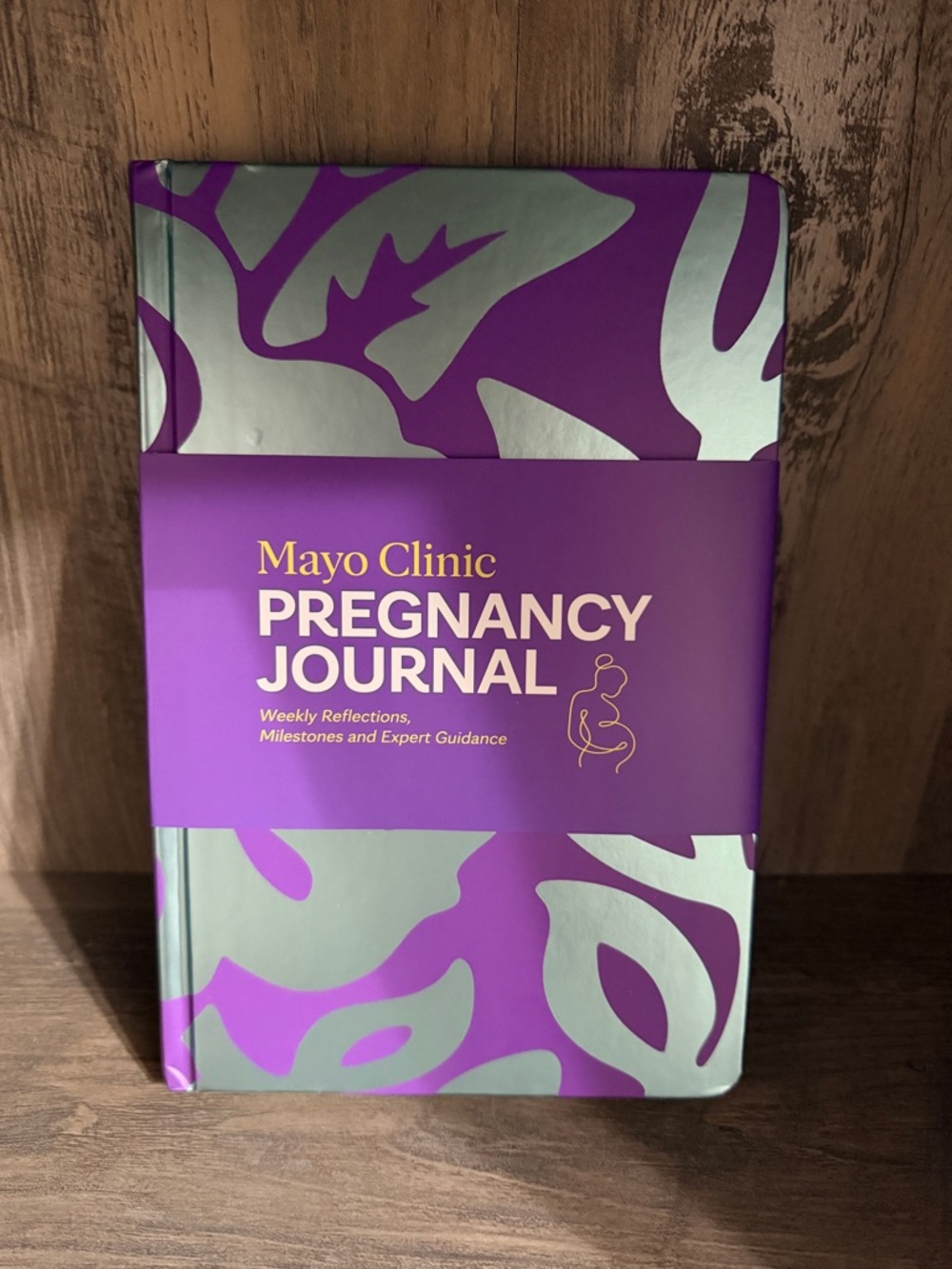 Mayo Clinic Pregnancy Journal - Purple & Silver